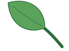CLUB5 leaf 2