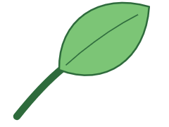CLUB5 leaf