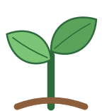 CLUB5 sprout